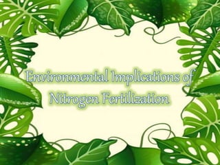 Nitrogen fertilization