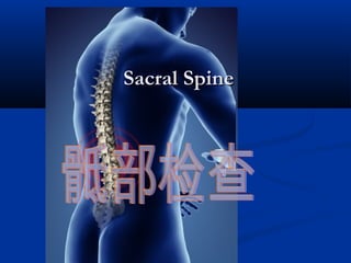 Sacral SpineSacral Spine
 