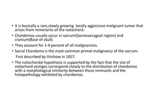 • It is basically a rare,slowly growing locally aggressive malignant tumor that
arises from remenants of the notochord.
• Chordomas usually occur in sacrum(Sacrococcygeal region) and
cranium(Base of skull)
• They account for 1-4 percent of all malignancies.
• Sacral Chordoma is the most common primat malignancy of the sacrum.
First described by Virchow in 1857.
• The notochordal hypothesis is supported by the fact that the site of
notochord vestiges correspond closely to the distribution of chordomas
with a morphological similarity between these remnants and the
histopathology exhibited by chordomas.
 