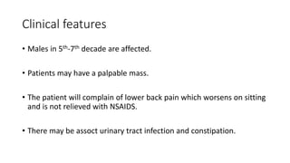 Clinical features
• Males in 5th-7th decade are affected.
• Patients may have a palpable mass.
• The patient will complain of lower back pain which worsens on sitting
and is not relieved with NSAIDS.
• There may be assoct urinary tract infection and constipation.
 