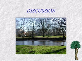 DISCUSSION
 