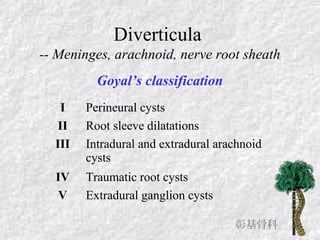 Diverticula
-- Meninges, arachnoid, nerve root sheath
Goyal’s classification
I Perineural cysts
II Root sleeve dilatations
III Intradural and extradural arachnoid
cysts
IV Traumatic root cysts
V Extradural ganglion cysts
彰基骨科
 