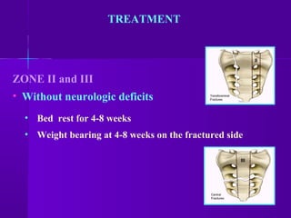 TREATMENT
ZONE II and III
• Without neurologic deficits
• Bed rest for 4-8 weeks
• Weight bearing at 4-8 weeks on the fractured side
 