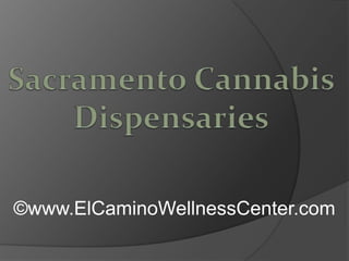 Sacramento Cannabis Dispensaries ©www.ElCaminoWellnessCenter.com 