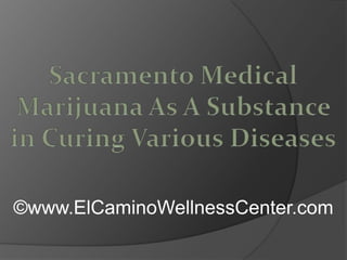 Sacramento Medical Marijuana As A Substance in Curing Various Diseases ©www.ElCaminoWellnessCenter.com 