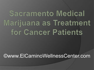 Sacramento Medical Marijuana as Treatment for Cancer Patients ©www.ElCaminoWellnessCenter.com 