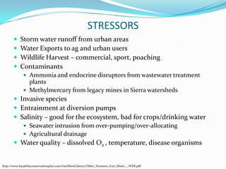 STRESSORSStorm water runoff from urban areasWater Exports to ag and urban usersWildlife Harvest – commercial, sport, poachingContaminantsAmmonia and endocrine disruptors from wastewater treatment plantsMethylmercury from legacy mines in Sierra watershedsInvasive speciesEntrainment at diversion pumpsSalinity – good for the ecosystem, bad for crops/drinking waterSeawater intrusion from over-pumping/over-allocatingAgricultural drainageWater quality – dissolved O2 , temperature, disease organismshttp://www.baydeltaconservationplan.com/FactSheetLibrary/Other_Stressors_Fact_Sheet_-_WEB.pdf