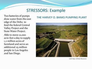 STRESSORS: ExampleTHE HARVEY O. BANKS PUMPING PLANTTwo batteries of pumps  draw water from the east edge of the Delta  to feed the federal Central Valley Project and the State Water Project.Able to move 21,ooo acre-feet a day to supply 1.2 million acres of farmland and serve an additional 25 million people in Los Angeles and San Diego.Calif. Dept. of Water Resources