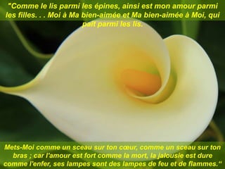 "Comme le lis parmi les épines, ainsi est mon amour parmi
les filles. . . Moi à Ma bien-aimée et Ma bien-aimée à Moi, qui
paît parmi les lis.
Mets-Moi comme un sceau sur ton cœur, comme un sceau sur ton
bras ; car l'amour est fort comme la mort, la jalousie est dure
comme l'enfer, ses lampes sont des lampes de feu et de flammes.“
 
