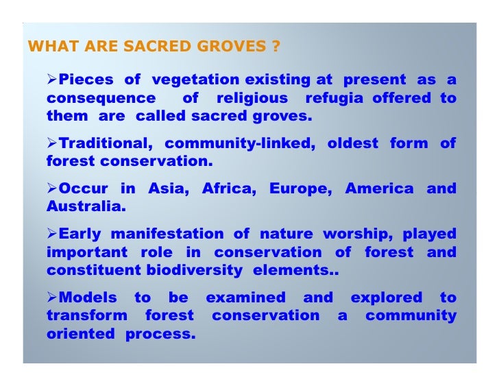 Sacred groves of karnataka, india