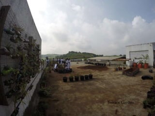 Terrace Garden
 