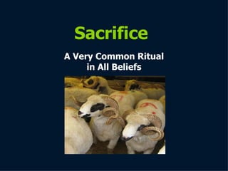 Sacrifice A Very Common Ritual in All Beliefs 