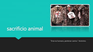 sacrificio animal
"Errar es humano, perdonar canino." Anónimo.
 