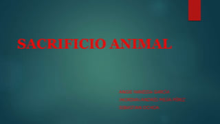 SACRIFICIO ANIMAL
ANGIE VANESSA GARCÍA
JHORDAN ANDRÉS MEJÍA PÉREZ
SEBASTIAN OCHOA
 