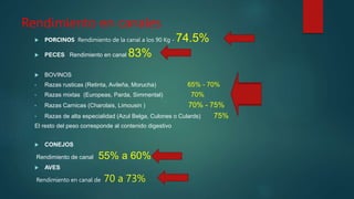 Rendimiento en canales
 PORCINOS Rendimiento de la canal a los 90 Kg - 74.5%
 PECES Rendimiento en canal 83%
 BOVINOS
• Razas rusticas (Retinta, Avileña, Morucha) 65% - 70%
• Razas mixtas (Europeas, Parda, Simmental) 70%
• Razas Carnicas (Charolais, Limousin ) 70% - 75%
• Razas de alta especialidad (Azul Belga, Culones o Culards) 75%
El resto del peso corresponde al contenido digestivo
 CONEJOS
Rendimiento de canal 55% a 60%
 AVES
Rendimiento en canal de 70 a 73%
 