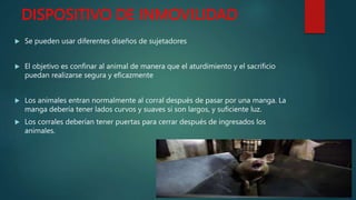 DISPOSITIVO DE INMOVILIDAD
 Se pueden usar diferentes diseños de sujetadores
 El objetivo es confinar al animal de manera que el aturdimiento y el sacrificio
puedan realizarse segura y eficazmente
 Los animales entran normalmente al corral después de pasar por una manga. La
manga debería tener lados curvos y suaves si son largos, y suficiente luz.
 Los corrales deberían tener puertas para cerrar después de ingresados los
animales.
 