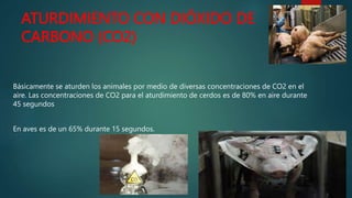 ATURDIMIENTO CON DIÓXIDO DE
CARBONO (CO2)
Básicamente se aturden los animales por medio de diversas concentraciones de CO2 en el
aire. Las concentraciones de CO2 para el aturdimiento de cerdos es de 80% en aire durante
45 segundos
En aves es de un 65% durante 15 segundos.
 