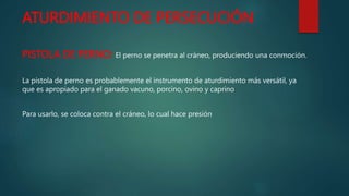 ATURDIMIENTO DE PERSECUCIÓN
PISTOLA DE PERNO: El perno se penetra al cráneo, produciendo una conmoción.
La pistola de perno es probablemente el instrumento de aturdimiento más versátil, ya
que es apropiado para el ganado vacuno, porcino, ovino y caprino
Para usarlo, se coloca contra el cráneo, lo cual hace presión
 