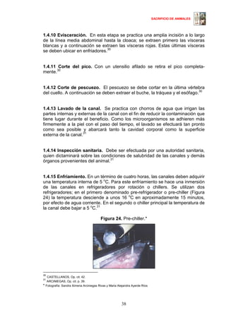 SACRIFICIO DE ANIMALES
38
1.4.10 Evisceración. En esta etapa se practica una amplia incisión a lo largo
de la línea media abdominal hasta la cloaca; se extraen primero las vísceras
blancas y a continuación se extraen las vísceras rojas. Estas últimas vísceras
se deben ubicar en enfriadores.30
1.4.11 Corte del pico. Con un utensilio afilado se retira el pico completa-
mente.30
1.4.12 Corte de pescuezo. El pescuezo se debe cortar en la última vértebra
del cuello. A continuación se deben extraer el buche, la tráquea y el esófago.30
1.4.13 Lavado de la canal. Se practica con chorros de agua que irrigan las
partes internas y externas de la canal con el fin de reducir la contaminación que
tiene lugar durante el beneficio. Como los microorganismos se adhieren más
firmemente a la piel con el paso del tiempo, el lavado se efectuará tan pronto
como sea posible y abarcará tanto la cavidad corporal como la superficie
externa de la canal.3128
1.4.14 Inspección sanitaria. Debe ser efectuada por una autoridad sanitaria,
quien dictaminará sobre las condiciones de salubridad de las canales y demás
órganos provenientes del animal.31
1.4.15 Enfriamiento. En un término de cuatro horas, las canales deben adquirir
una temperatura interna de 5 o
C. Para este enfriamiento se hace una inmersión
de las canales en refrigeradores por rotación o chillers. Se utilizan dos
refrigeradores; en el primero denominado pre-refrigerador o pre-chiller (Figura
24) la temperatura desciende a unos 16 o
C en aproximadamente 15 minutos,
por efecto de agua corriente. En el segundo o chiller principal la temperatura de
la canal debe bajar a 5 o
C.31
Figura 24. Pre-chiller.*
30
CASTELLANOS, Op. cit. 42.
31
ARCINIEGAS, Op. cit. p. 39.
* Fotografía: Sandra Ximena Arciniegas Rivas y Maria Alejandra Ayerde Ríos
 