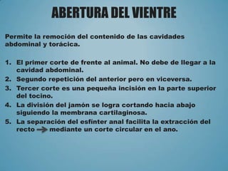 ABERTURA DEL VIENTRE
Permite la remoción del contenido de las cavidades
abdominal y torácica.
1. El primer corte de frente al animal. No debe de llegar a la
cavidad abdominal.
2. Segundo repetición del anterior pero en viceversa.
3. Tercer corte es una pequeña incisión en la parte superior
del tocino.
4. La división del jamón se logra cortando hacia abajo
siguiendo la membrana cartilaginosa.
5. La separación del esfínter anal facilita la extracción del
recto mediante un corte circular en el ano.
 