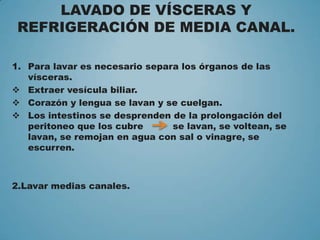 LAVADO DE VÍSCERAS Y
REFRIGERACIÓN DE MEDIA CANAL.
1. Para lavar es necesario separa los órganos de las
vísceras.
 Extraer vesícula biliar.
 Corazón y lengua se lavan y se cuelgan.
 Los intestinos se desprenden de la prolongación del
peritoneo que los cubre se lavan, se voltean, se
lavan, se remojan en agua con sal o vinagre, se
escurren.
2.Lavar medias canales.
 