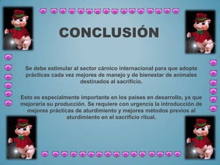 CONCLUSIÓN
Se debe estimular al sector cárnico internacional para que adopte
prácticas cada vez mejores de manejo y de bienestar de animales
destinados al sacrificio.
Esto es especialmente importante en los países en desarrollo, ya que
mejoraría su producción. Se requiere con urgencia la introducción de
mejores prácticas de aturdimiento y mejores métodos previos al
aturdimiento en el sacrificio ritual.
 