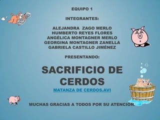 EQUIPO 1
INTEGRANTES:
ALEJANDRA ZAGO MERLO
HUMBERTO REYES FLORES
ANGÉLICA MONTAGNER MERLO
GEORGINA MONTAGNER ZANELLA
GABRIELA CASTILLO JIMÉNEZ
PRESENTANDO:
SACRIFICIO DE
CERDOS
MATANZA DE CERDOS.AVI
MUCHAS GRACIAS A TODOS POR SU ATENCIÓN.
 