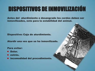 DISPOSITIVOS DE INMOVILIZACIÓN
Antes del aturdimiento o desangrado los cerdos deben ser
inmovilizados, esto para la estabilidad del animal.
Dispositivo: Caja de aturdimiento.
Aturdir una ves que se ha inmovilizado.
Para evitar:
Dolor.
estrés.
incomodidad del procedimiento.
 