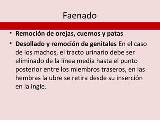 Faenado
• Remoción de orejas, cuernos y patas
• Desollado y remoción de genitales En el caso
  de los machos, el tracto urinario debe ser
  eliminado de la línea media hasta el punto
  posterior entre los miembros traseros, en las
  hembras la ubre se retira desde su inserción
  en la ingle.
 