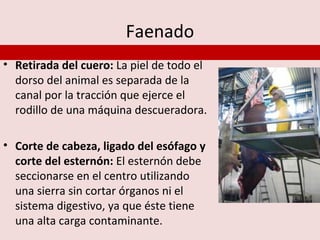 Faenado
• Retirada del cuero: La piel de todo el
  dorso del animal es separada de la
  canal por la tracción que ejerce el
  rodillo de una máquina descueradora.

• Corte de cabeza, ligado del esófago y
  corte del esternón: El esternón debe
  seccionarse en el centro utilizando
  una sierra sin cortar órganos ni el
  sistema digestivo, ya que éste tiene
  una alta carga contaminante.
 