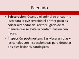 Faenado
• Evisceración: Cuando el animal se encuentra
  listo para la evisceración el primer paso es
  cortar alrededor del recto y ligarlo de tal
  manera que se evite la contaminación con
  heces.
• Inspección postmortem: Las vísceras rojas y
  las canales son inspeccionadas para detectar
  posibles lesiones patológicas,
 