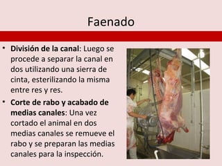 Faenado
• División de la canal: Luego se
  procede a separar la canal en
  dos utilizando una sierra de
  cinta, esterilizando la misma
  entre res y res.
• Corte de rabo y acabado de
  medias canales: Una vez
  cortado el animal en dos
  medias canales se remueve el
  rabo y se preparan las medias
  canales para la inspección.
 