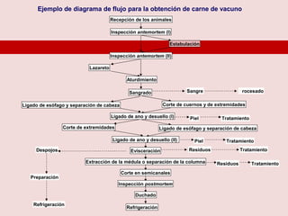 Ejemplo de diagrama de flujo para la obtención de carne de vacuno
                                      Recepción de los animales

                                      Inspección antemortem (I)

                                                                 Estabulación

                                      Inspección antemortem (II)

                           Lazareto

                                             Aturdimiento

                                              Sangrado                  Sangre                 Procesado

Ligado de esófago y separación de cabeza                      Corte de cuernos y de extremidades

                                      Ligado de ano y desuello (I)       Piel         Tratamiento
                 Corte de extremidades                       Ligado de esófago y separación de cabeza

                                       Ligado de ano y desuello (II)       Piel         Tratamiento
     Despojos                                  Evisceración              Residuos              Tratamiento

                          Extracción de la médula o separación de la columna        Residuos        Tratamiento
                                           Corte en semicanales
   Preparación
                                         Inspección postmortem

                                                 Duchado
    Refrigeración
                                             Refrigeración
 