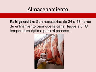 Almacenamiento

Refrigeración: Son necesarias de 24 a 48 horas
de enfriamiento para que la canal llegue a 0 ºC,
temperatura óptima para el proceso.
 