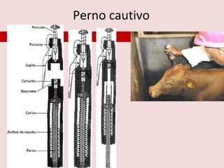 Perno cautivo
 