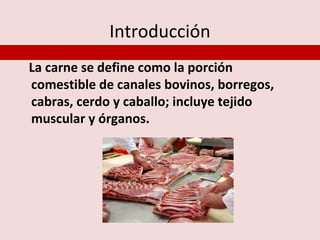 Introducción
La carne se define como la porción
comestible de canales bovinos, borregos,
cabras, cerdo y caballo; incluye tejido
muscular y órganos.
 