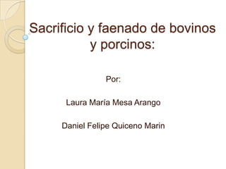 Sacrificio y faenado de bovinos y porcinos: Por: Laura María Mesa Arango Daniel Felipe Quiceno Marin 