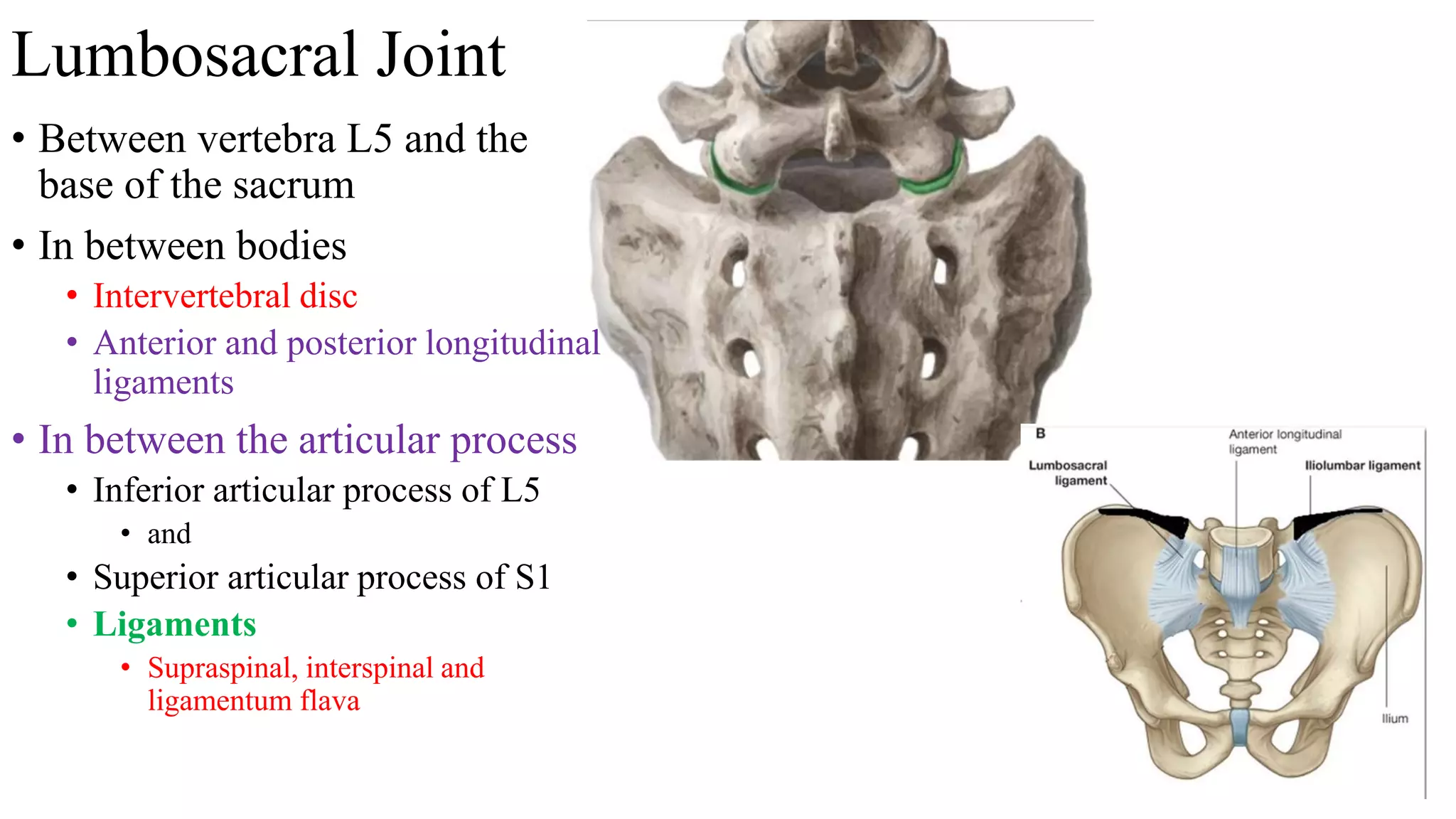sacroiliac .pptx