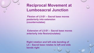 Reciprocal Movement at
Lumbosacral Junction
Flexion of L5-S1 – Sacral base moves
posteriorly into extension
(counternutates)
Extension of L5-S1 – Sacral base moves
anteriorly into flexion(nutates)
Right rotation and left side bending of
L5 – Sacral base rotates to left and side
bends right
 