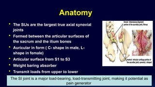 Anatomy
• The SIJs are the largest true axial synovial
joints
• Formed between the articular surfaces of
the sacrum and the ilium bones
• Auricular in form ( C- shape in male, L-
shape in female)
• Articular surface from S1 to S3
• Weight baring absorber
• Transmit loads from upper to lower
The SI joint is a major load-bearing, load-transmitting joint, making it potential as
pain generator
 