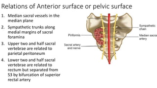 Sacral Window Sacrum | PPTX