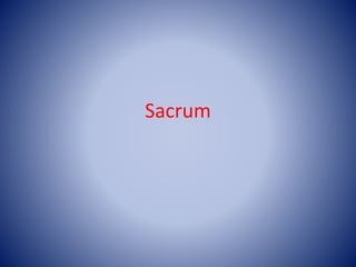 Sacrum
 