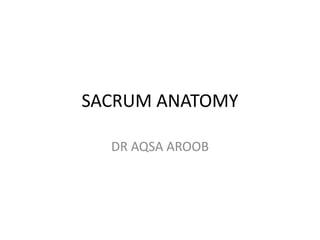 SACRUM ANATOMY
DR AQSA AROOB
 
