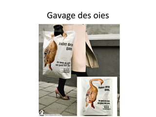 Gavage des oies
 