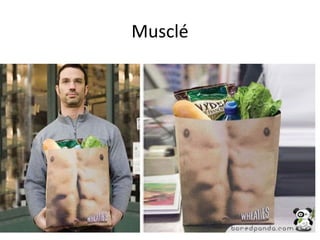 Musclé
 