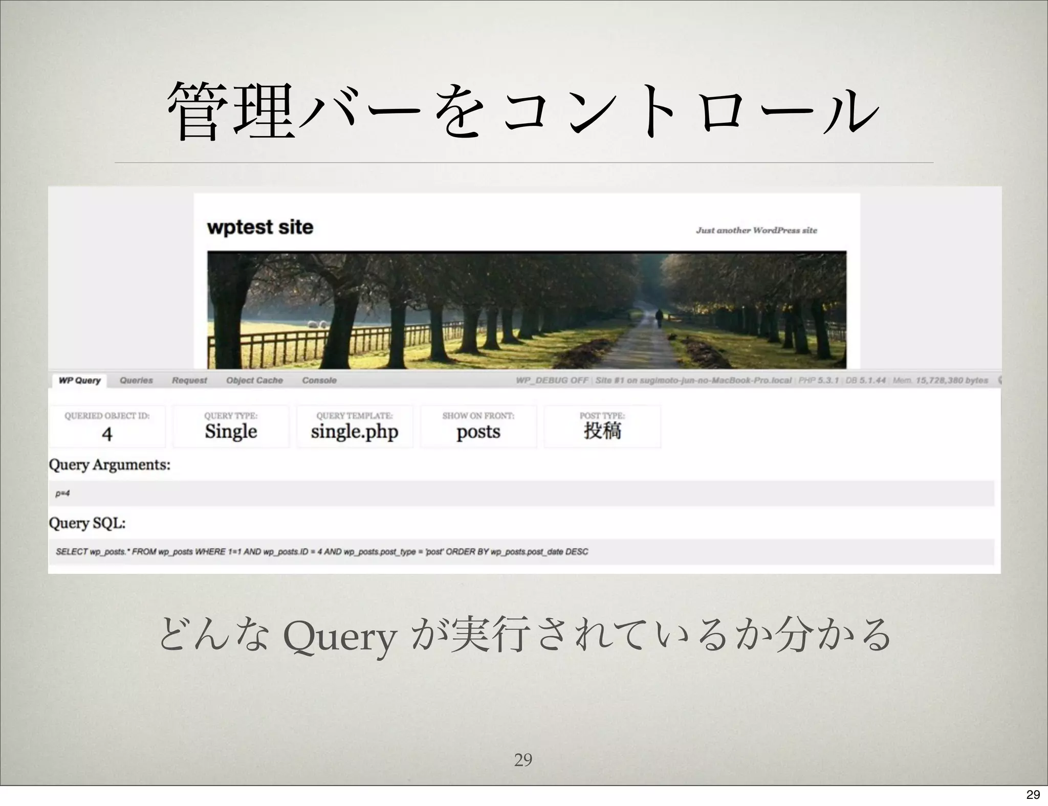 管理バーをコントロール




どんな Query が実行されているか分かる

          29
                         29
 