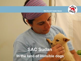 SAC Sudan In the land of invisible dogs More Humanity towards Animals 