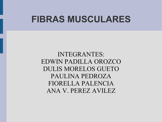 FIBRAS MUSCULARES INTEGRANTES: EDWIN PADILLA OROZCO DULIS MORELOS GUETO PAULINA PEDROZA FIORELLA PALENCIA ANA V. PEREZ AVILEZ 