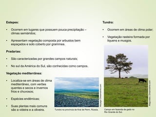 8 coberturas vegetais