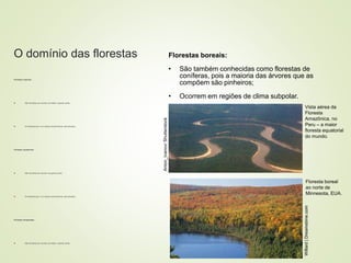 8 coberturas vegetais